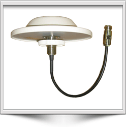 antenne WLAN e Wifi